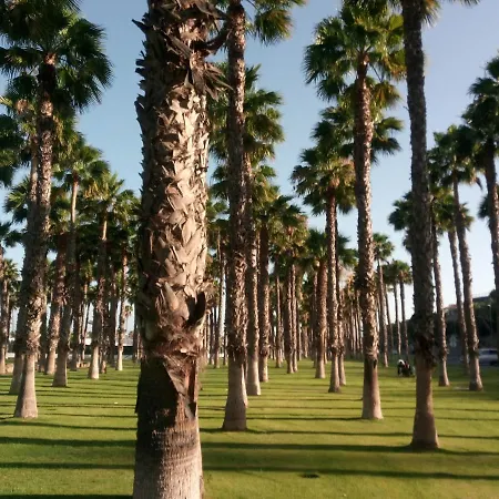Garland Agaete Parque Playa del Ingles (Gran Canaria)