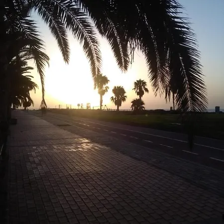 Garland Agaete Parque Playa del Ingles (Gran Canaria)